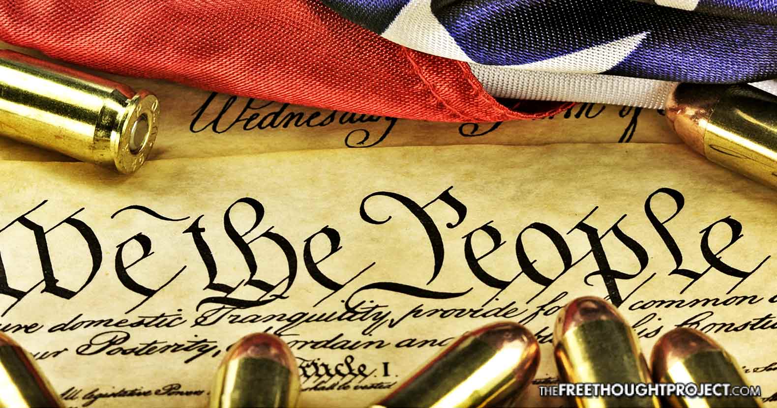 Federal Court Quietly Rules 'Assault Rifles' Not Protected by 2nd Amendment
