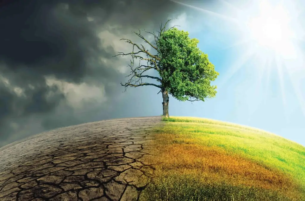The Summit of the Future and the Pact for the Future Will Rapidly Expand the Technocratic Takeover cover image