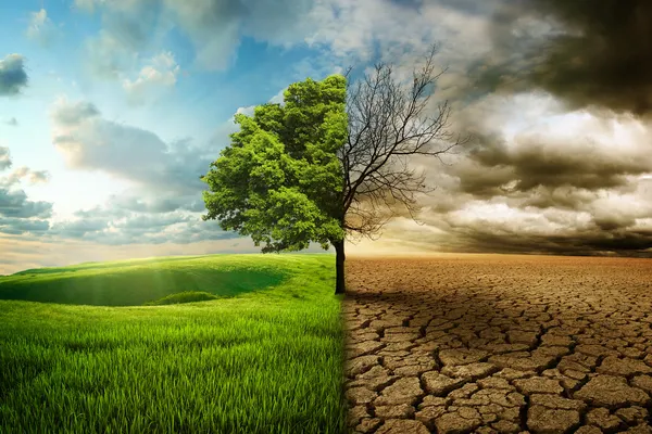 New Research Debunks The Latest ‘Tipping Point’ Climate Alarmism Scare cover image