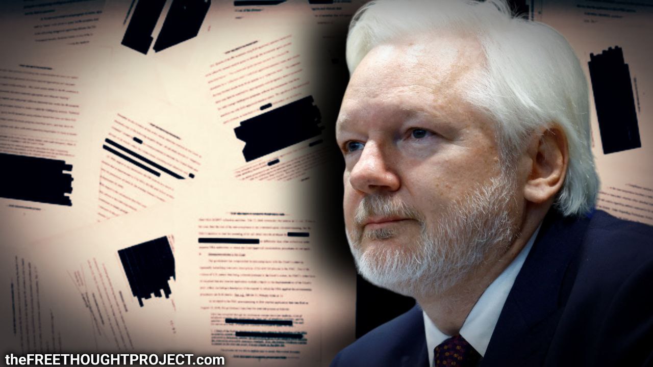 Julian Assange On The Dangerous Tendencies Of Government cover image