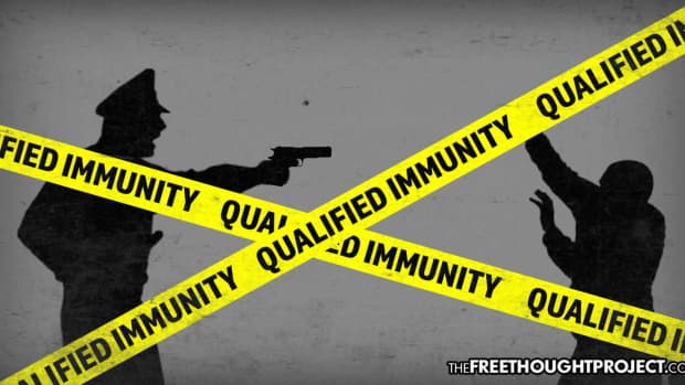 qualified immunity