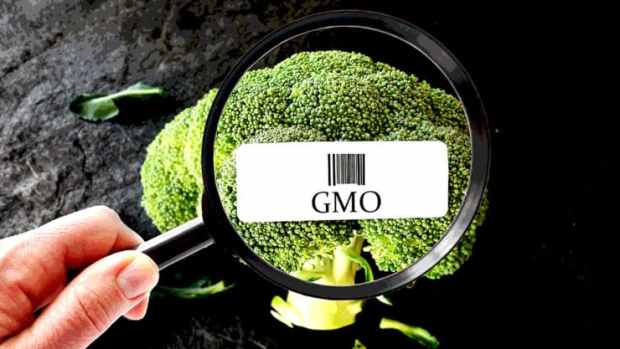 gmo-crops-fail-feature-800x417