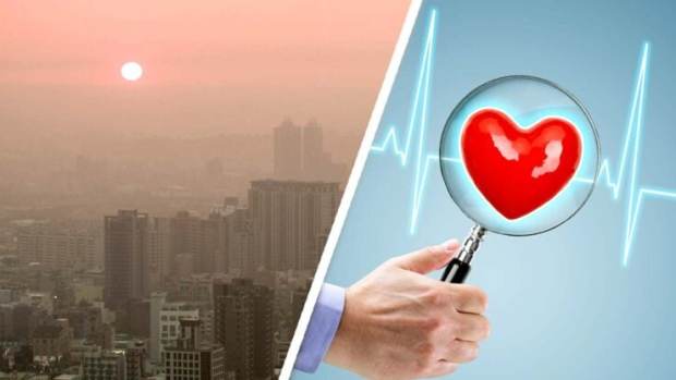 chemicals-pollution-heart-deaths-800x417