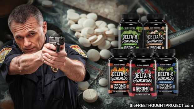 photo_2025-11-26_02-48-25