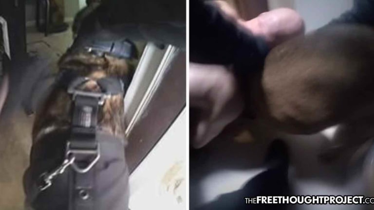 WATCH: Man Hospitalized After Cops Sic K-9 on Him As He Showered