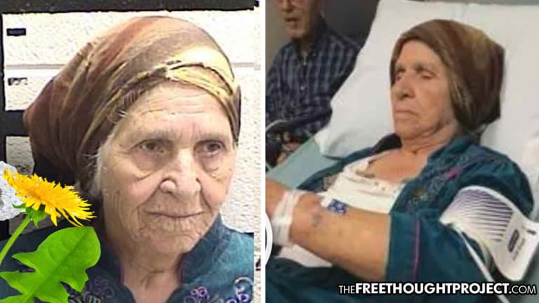 87yo Great-Grandmother Tasered in Her Breast by Police While Cutting Dandelions with a Knife