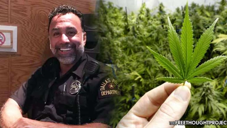 Good Cop Risks His Career to Openly Advocate for Legalization of Cannabis