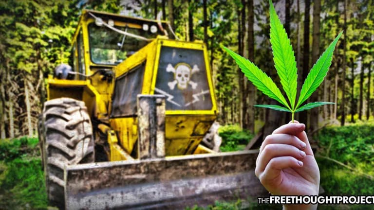 Taxpayers to be Held Liable After Cops Bulldoze Unarmed Man to Death for Growing Marijuana