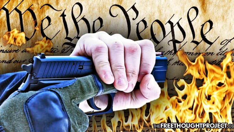 State Lawmakers Propose Legislation to 'Repeal' the Second Amendment