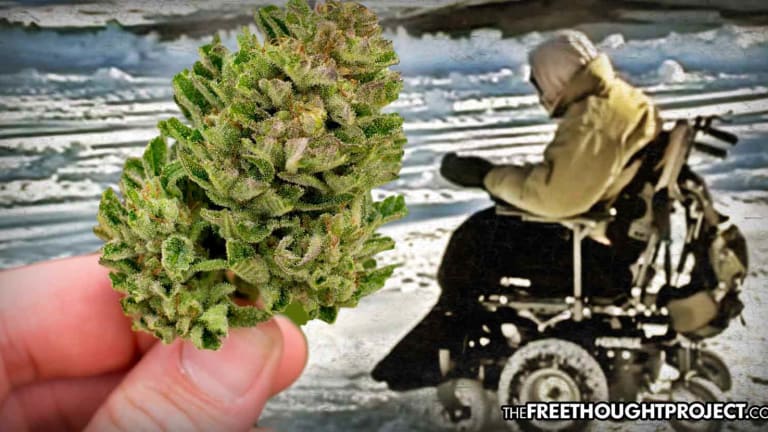 78-Year-Old Man in Wheelchair Evicted to Freezing Streets for Treating Pain With Legal Medical Pot