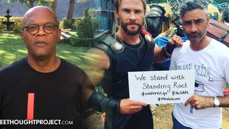Cast of the Avengers Heroically Comes Out in Real Life to Call Attention to DAPL Protesters