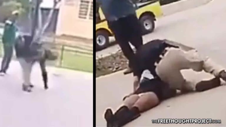 WATCH: Cop Attacks Handcuffed School Girl, Violently Slams Her Into the Concrete