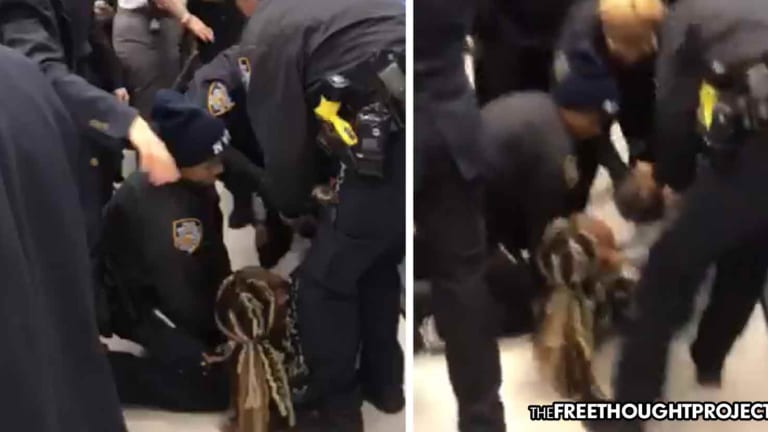 Utterly Horrifying Video Shows NYPD Cops Rip Baby from Mother's Arms as She Waited for Food Stamps