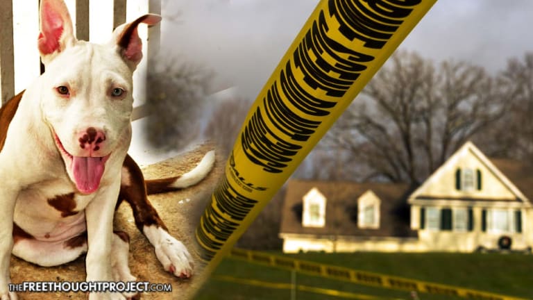 Cops Break into Wrong House, Arrest Innocent Children, Kill Their Dog — Taxpayers Held Liable