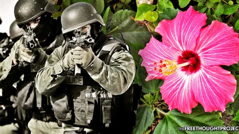 Innocent Family Raided by SWAT, Held at Gunpoint After Cops Mistook Hibiscus for Weed