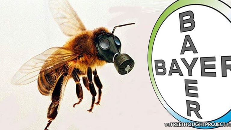 Bayer Accidentally Funds Study Showing Its Pesticide is Killing Bees, Promptly Denies Conclusions