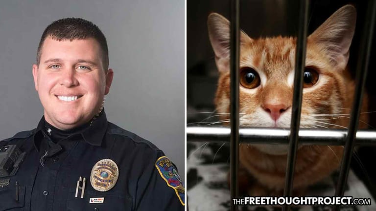 School Cop Arrested for Trapping His Neighbors' Cats and Killing Them in a Cemetery