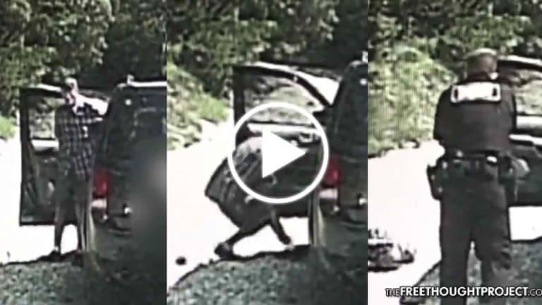 WATCH: Cop Executes Unarmed Navy Vet for Getting Out His ID -- Not Charged