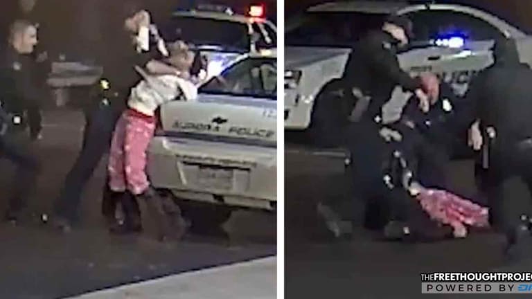 Taxpayers Held Liable After Innocent Mom Choked, Beaten, Stomped by Cops on Video