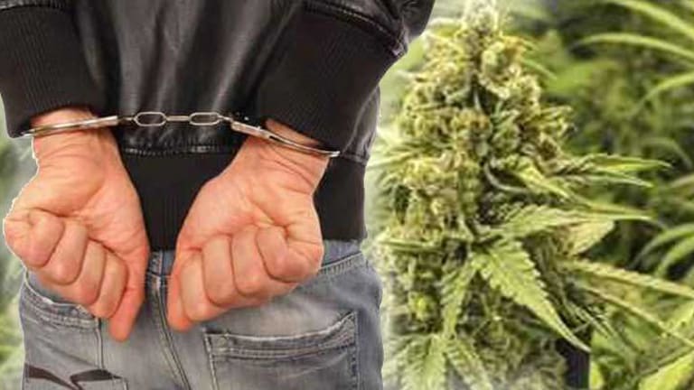 Three Teenagers Facing 5 Years In Prison For Being Caught With Marijuana In a State Where It Is Legal