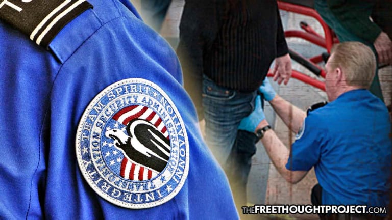 Federal Court Rules TSA Can Abusively Fondle Your Genitals With Immunity
