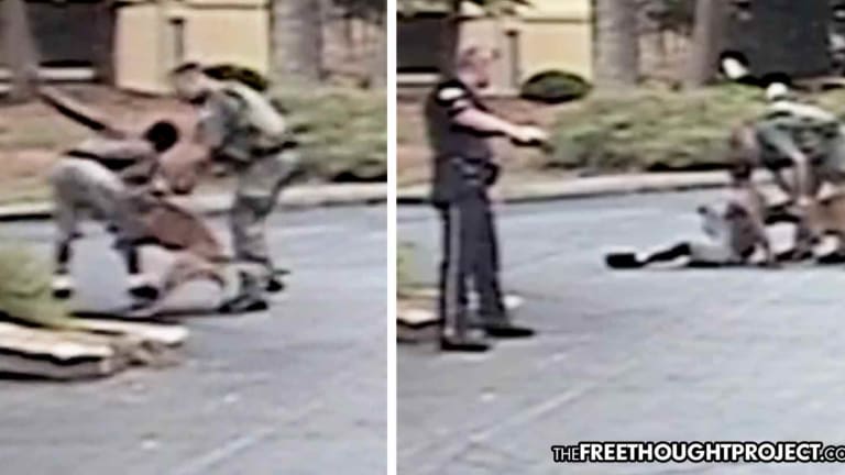 Graphic Video Shows Teen Getting Mauled by Police K9 Despite 100% Compliance