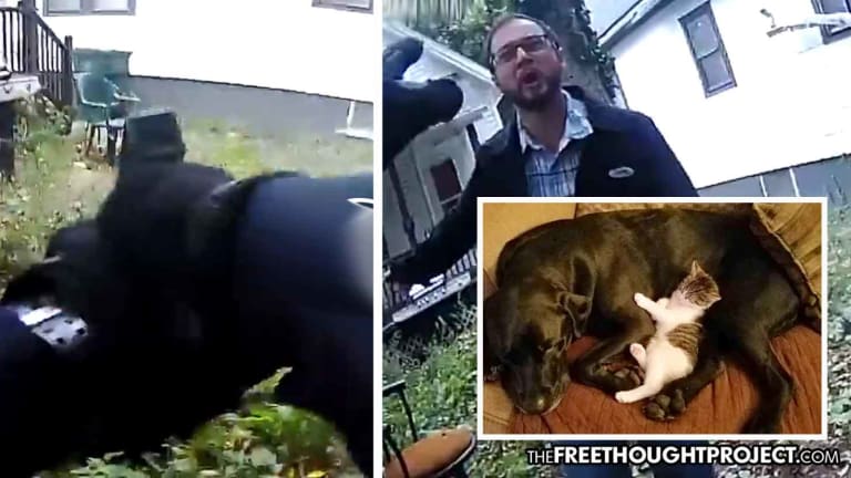 Horrifying Video Shows Cop Jump Family's Fence, Kill Dog in Front of 10yo Girl