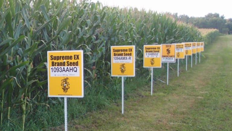 Don't Buy Into the Myth, GMO Crops DO NOT Increase Yields