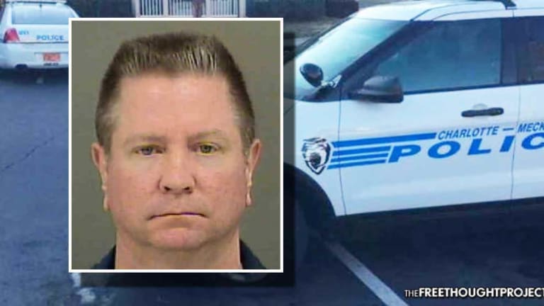 Alleged Serial Pedophile Arrested, Charged With Dozens of Felonies for Child Rape—He's a Cop