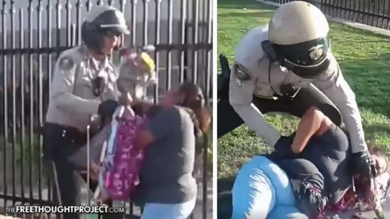 WATCH: Woman Brutally Assaulted for Allegedly Selling Flowers With No Permit