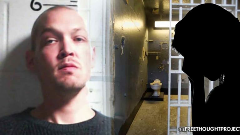 State Gives Confessed Child Rapist ZERO Jail as They Imprison Dozens Over Drugs—FOR LIFE