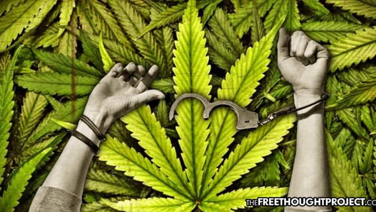 Dozens of Cops, Judges, Prosecutors Present Letter to Congress to Legalize Weed, Expunge All Convictions