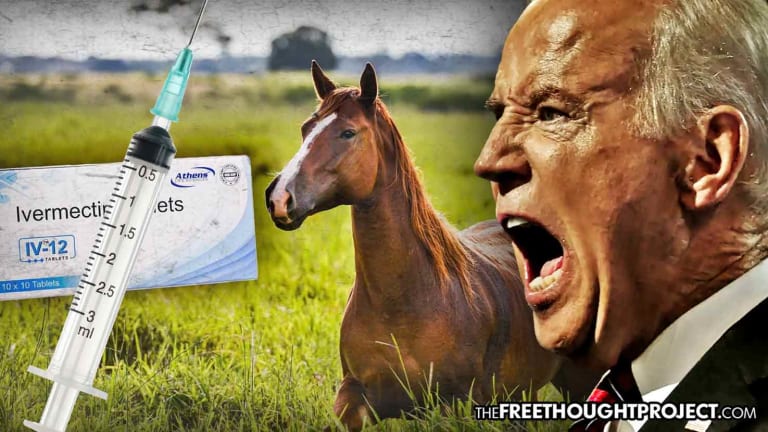 Mainstream Media Cares More About You Taking Ivermectin Than Biden Eviscerating Medical Freedom