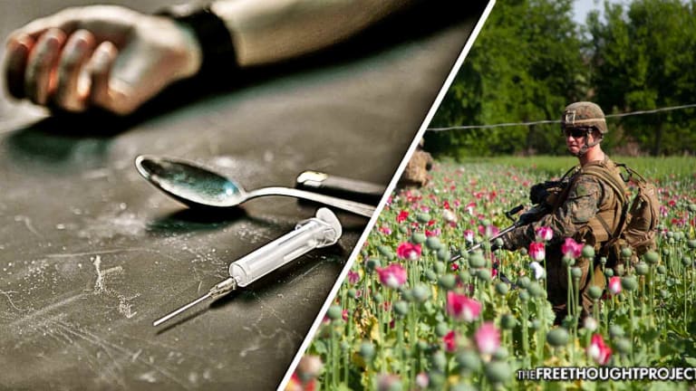Before US Troops Protected Poppies In Afghanistan, There was No Opioid Epidemic in America