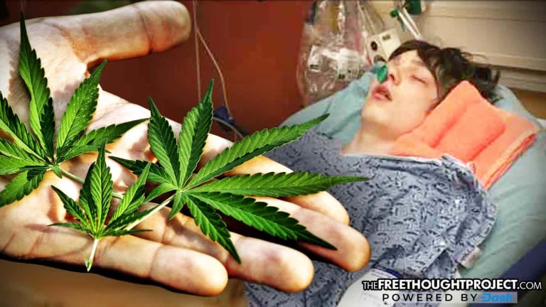 Parents Jailed, 15-Year-Old Kidnapped by Gov't, For Using Cannabis to Stop His Seizures