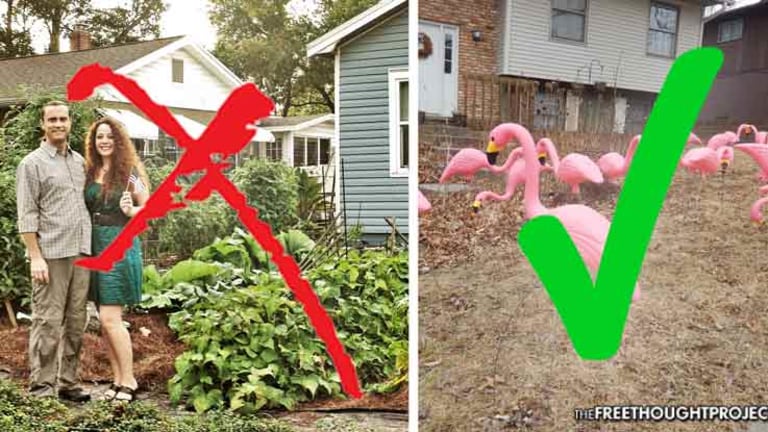 Court Rules Plastic Flamingos Okay But Growing Vegetables in Front Yard Is ILLEGAL