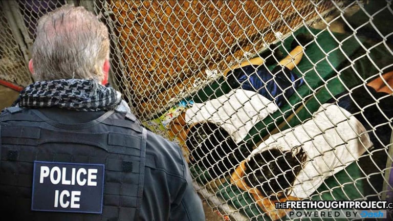 ‘Kids Screaming in the Next Room’ Another Lawmaker Exposes Horrific Kidnappings by US Immigration