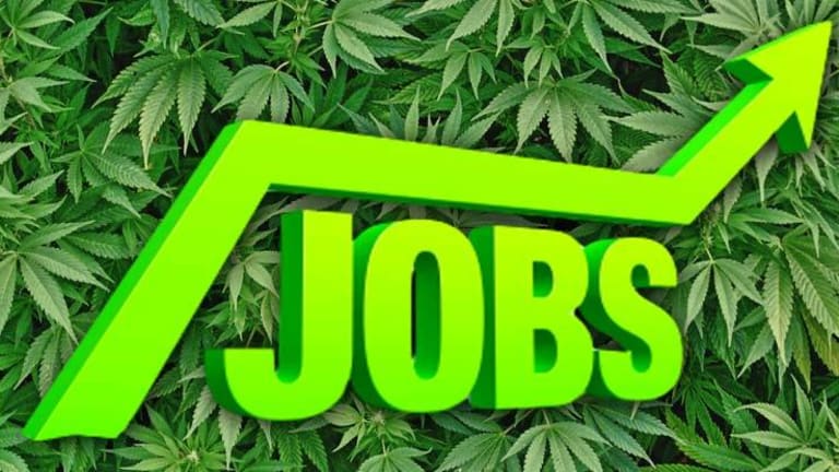 Does pot make you lazy? Skyrocketing 68% Cannabis Job Growth in Colorado Says Otherwise