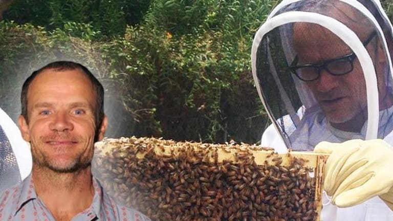 Flea's Bees: Red Hot Chili Peppers Bassist Starts Bee Sanctuary in His Backyard