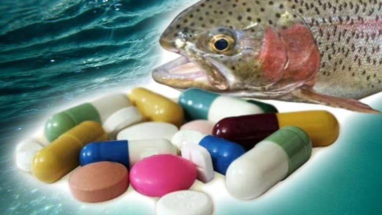 Gills and Pills -- US Fish Testing Positive for Anti-depressants, Plus 80 Other Drugs -- NOAA