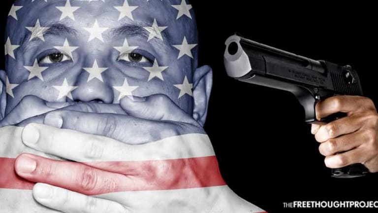 Poll Shows 85% of Americans Value Free Speech Over PC Censorship—Majority Would Die to Protect It