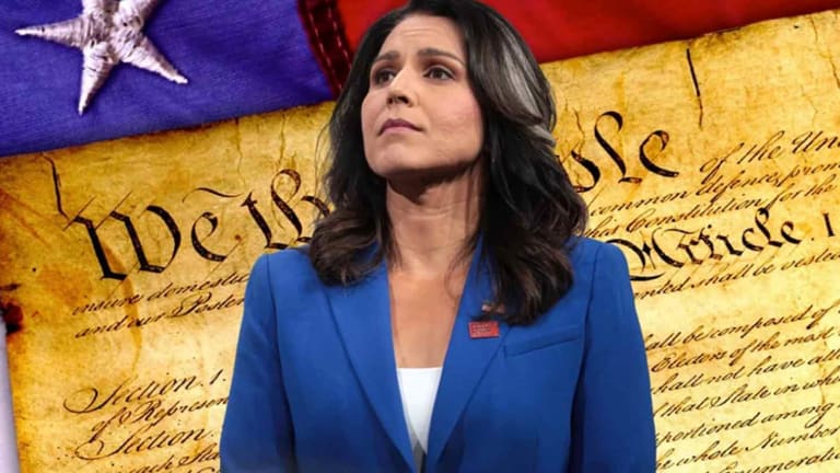 Tulsi Gabbard Warns Against the Danger of New 'Domestic Terrorism' Laws