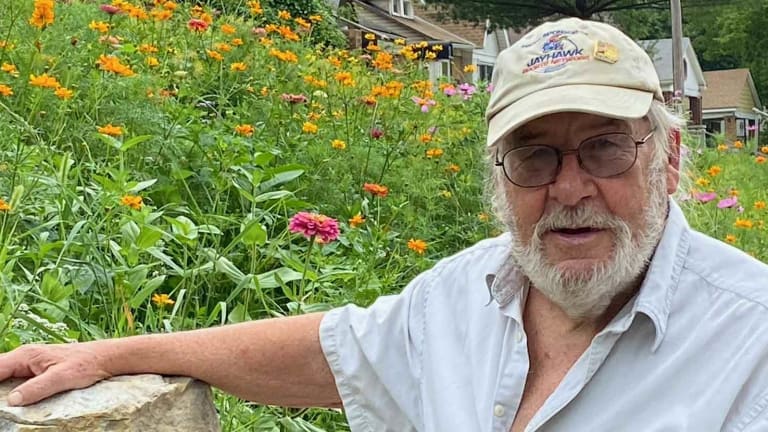80yo Army Vet Facing Fines, Jail for Butterfly Garden He Planted in His Front Yard