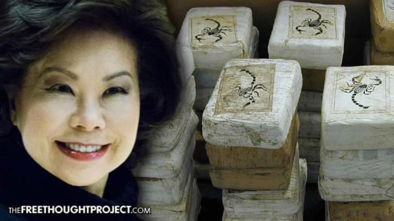 Trump's Latest Cabinet Pick Connected to 90 Pound Seizure of Cocaine on International Cargo Ship