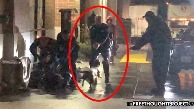 WATCH: 3 Injured as Cop Opens Fire on Crowded Street to Kill a Dog — Taxpayers Held Liable