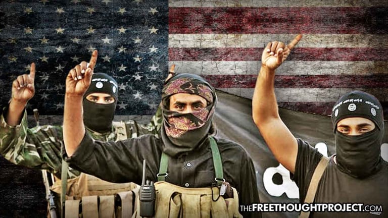 US Gov't Now Openly Admits Pentagon Asks for Money to Directly Fund Terrorists