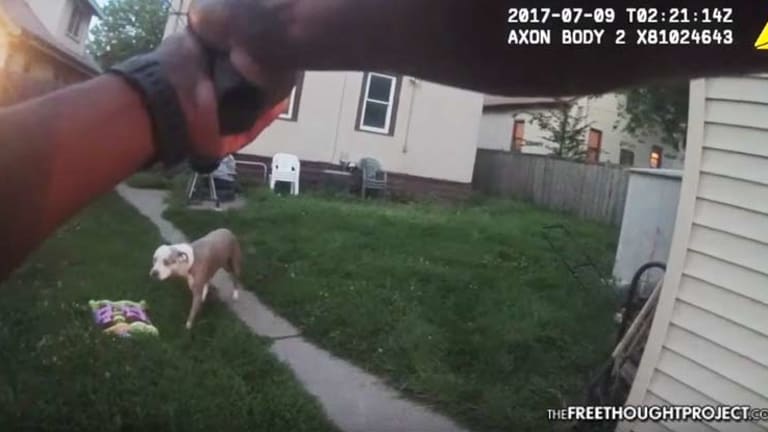 Body Cam Shows Cowardly Cop Trespass, Shoot Docile Dogs Wagging Their Tails