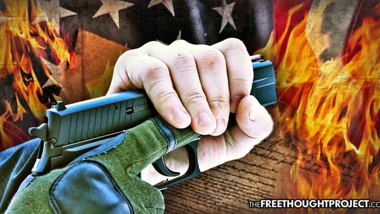 7 Reasons You Need to Stand Against Red Flag Guns Laws