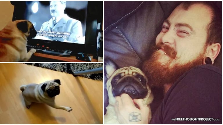 Man Found Guilty of a Hate Crime for A Joke Video Of His Dog Doing a 'Hitler Salute'