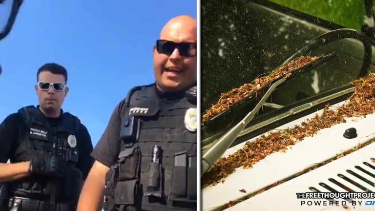 WATCH: Innocent Man Detained, Assaulted by Cops Because He Had 'Vegetation' on His Window